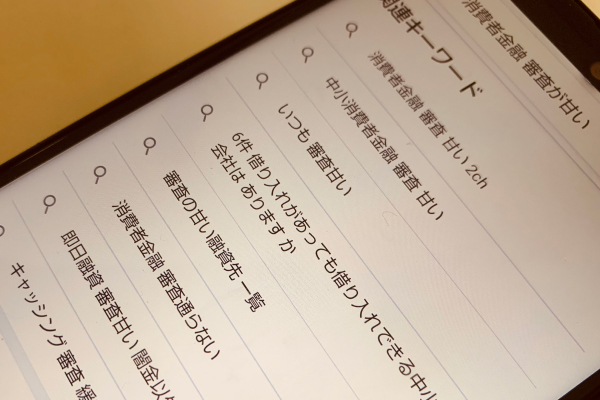 審査の甘さについて調べている画像