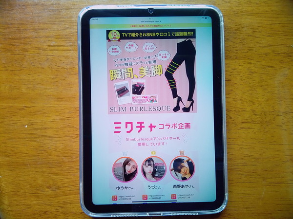 スリムバーレスク