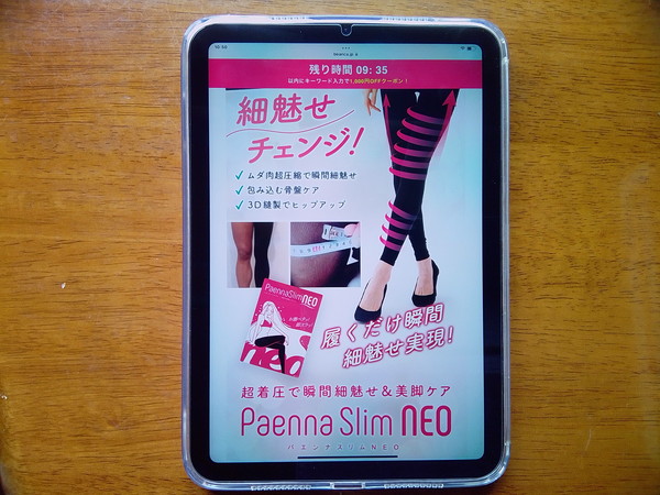 パエンナスリムNEO