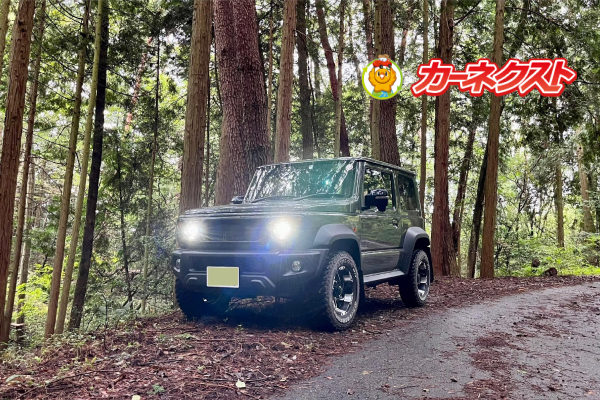 カーネクスト