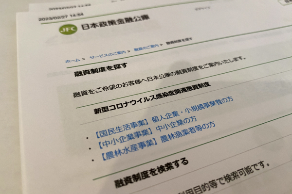 公的融資制度