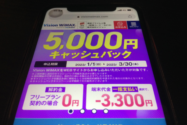 Vision WiMAX